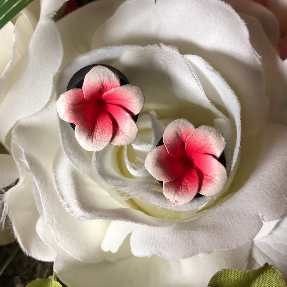 5/8” plugs/gauges earrings/jewelry